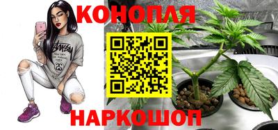 винт Будённовск