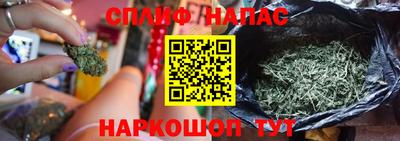 мяу мяу мука Бугуруслан