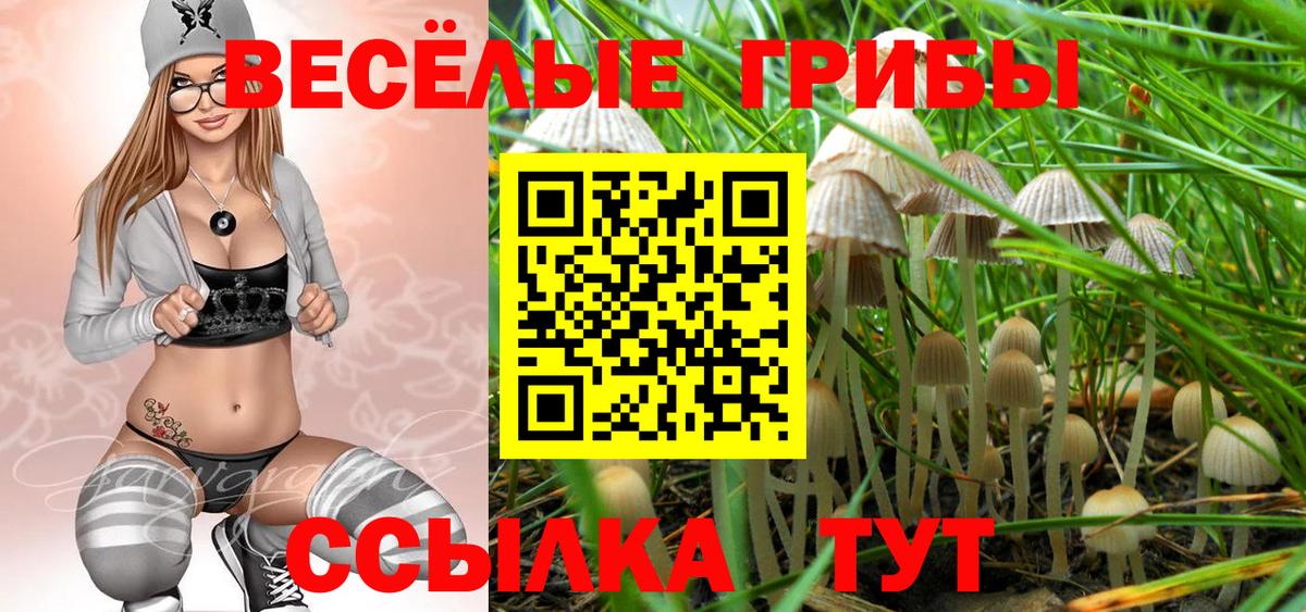 Россошь  Псилоцибиновые грибы MAGIC MUSHROOMS  Псилоцибиновые грибы прущие грибы  купить наркотики цена  Вход с VPN 